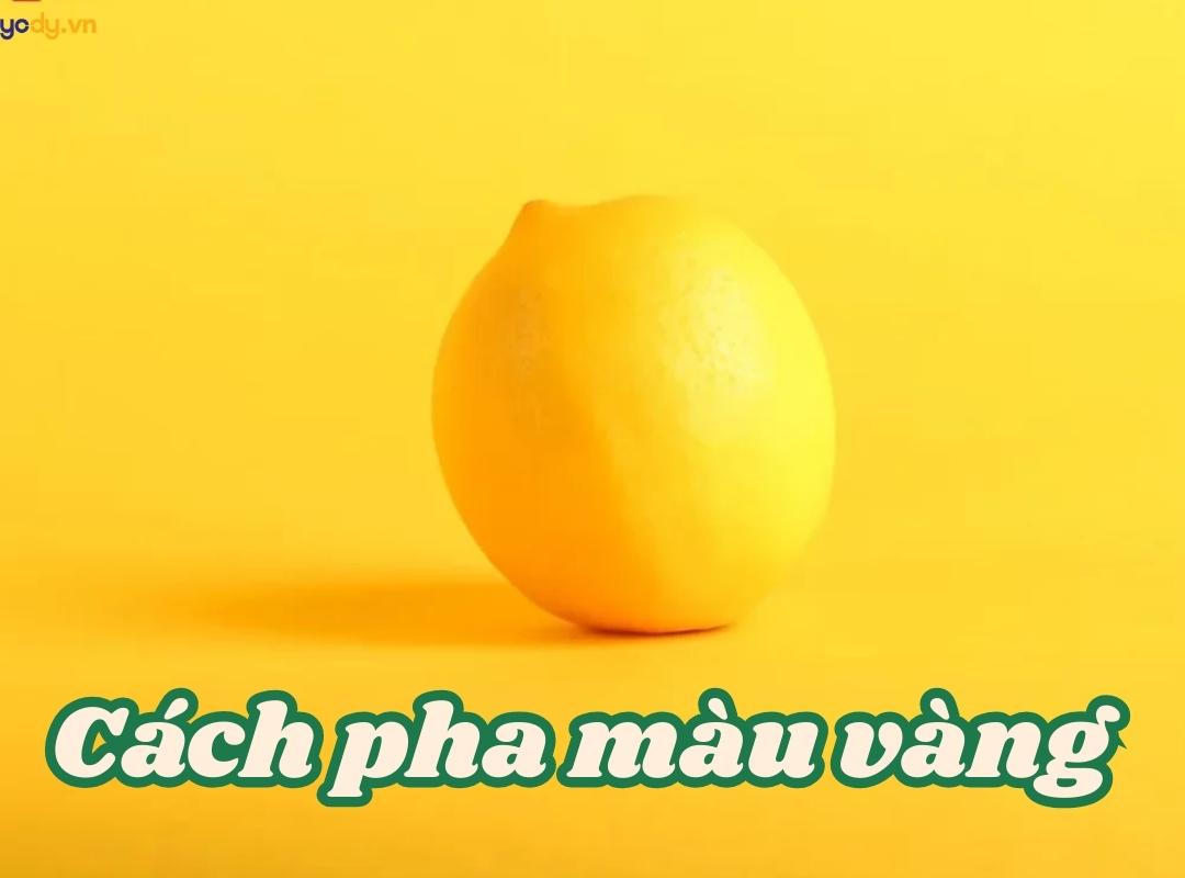 Kham pha cac sac do vang chanh pha tu mau goc va mau trang